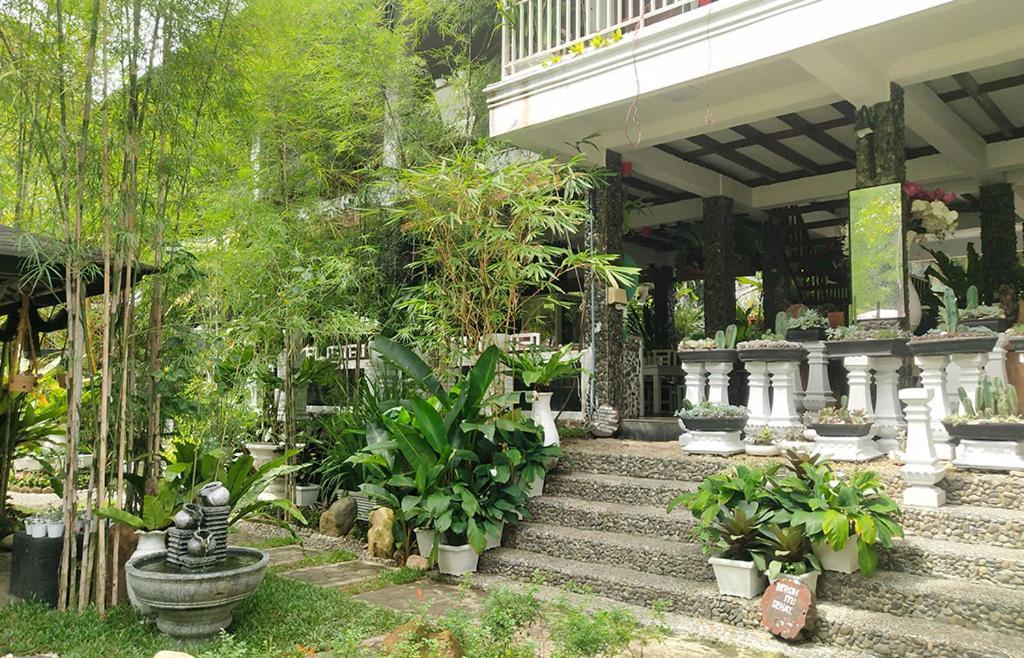 New The Heritage Resort & Restaurant Bukit Lawang Bandartelu Ngoại thất bức ảnh